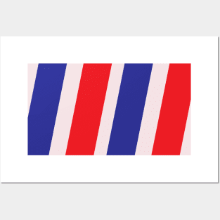 Red and Blue vertical strips Abstract Art Posters and Art